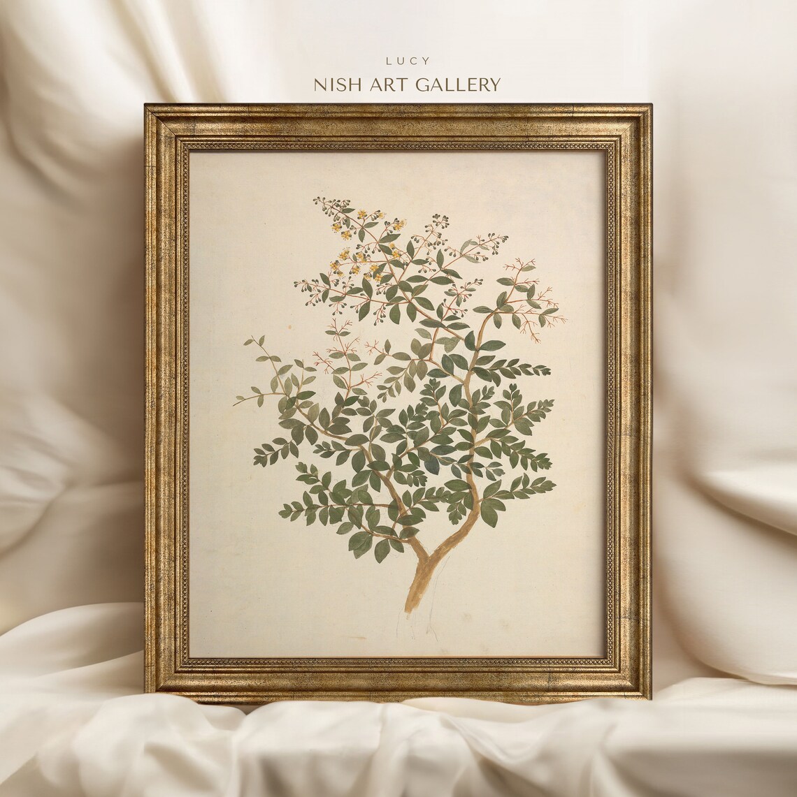 Botanical Print, Vintage Farmhouse Kitchen Decor