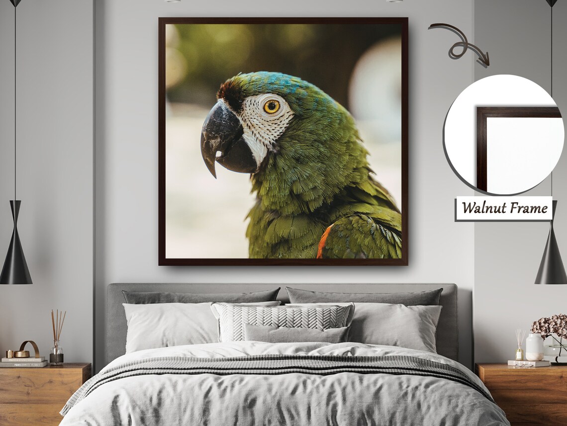 Colorful Parrot Portrait, Tropical Nature Painting - Image 4