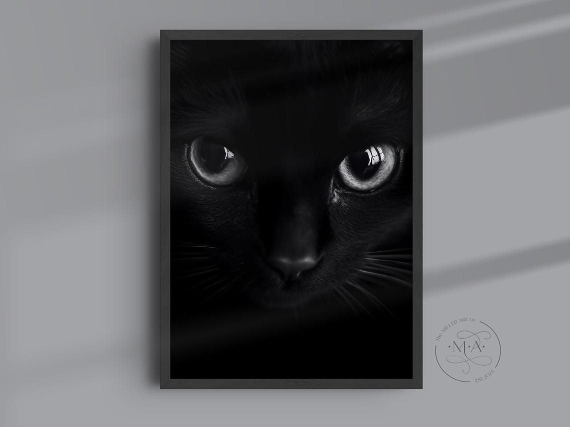 Moody Black Cat Photo Print Gothic Halloween Wall Art