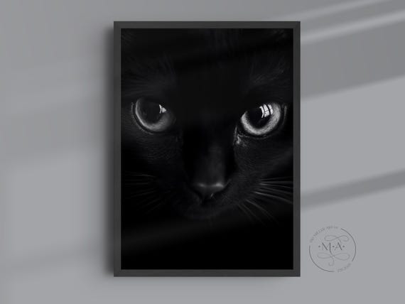 Moody Black Cat Photo Print Gothic Halloween Wall Art