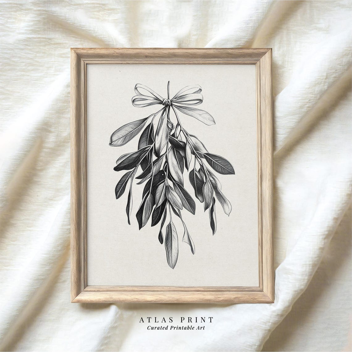 Mistletoe With Ribbon Black And White Botanical Sketch Poster