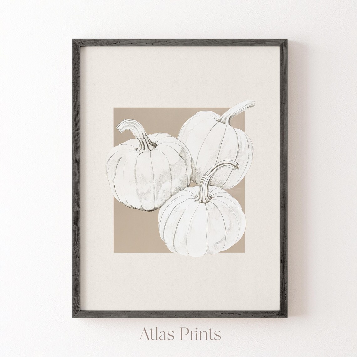 Three White Pumpkins Pencil Sketch Minimalist Neutral Fall Autumn Poster - Image 5