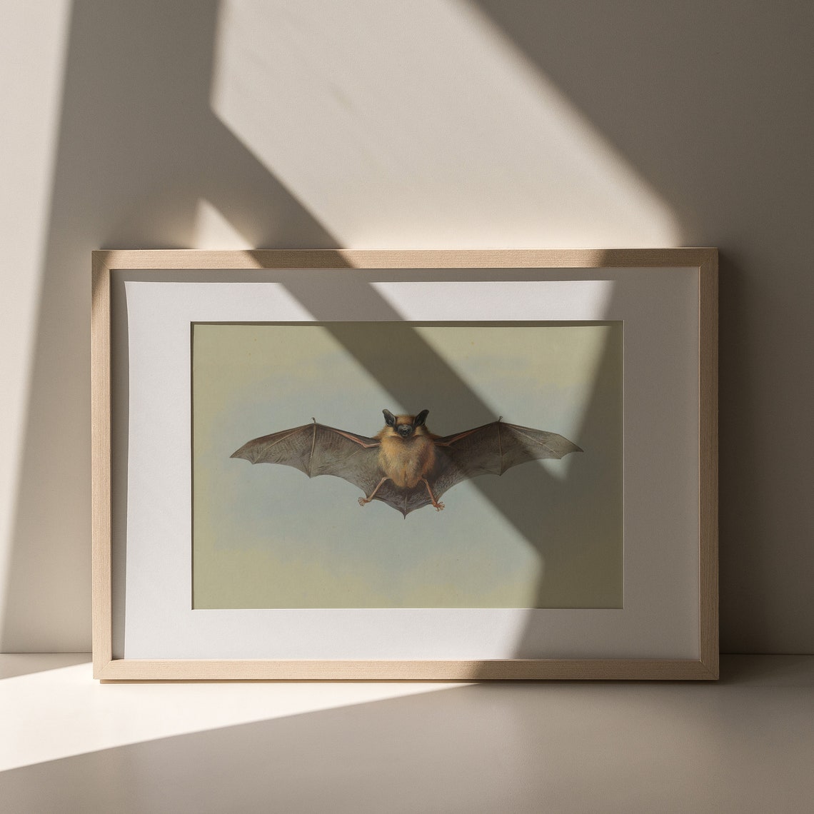 Antique Bat Painting Vintage Flying Bat Halloween Art Poster - Image 4