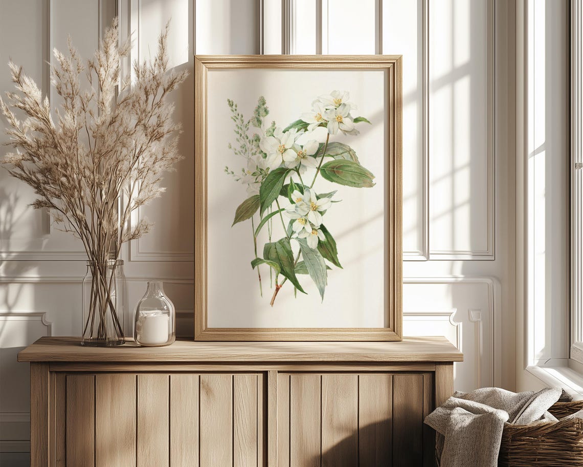 Soft White Jasmine Blossom Branch Vintage Botanical Wall Poster - Image 4