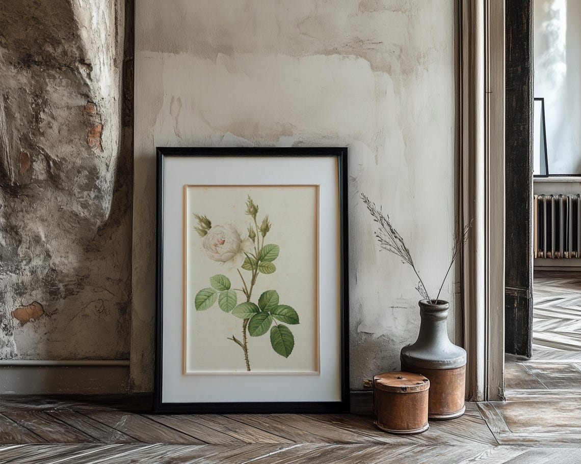 White Rose Stem Botanical Study Vintage Floral Line Art Poster - Image 3