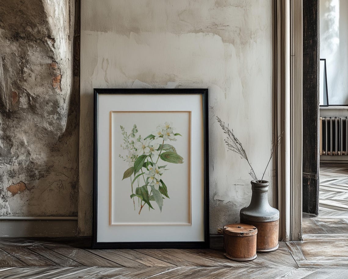 Soft White Jasmine Blossom Branch Vintage Botanical Wall Poster - Image 3
