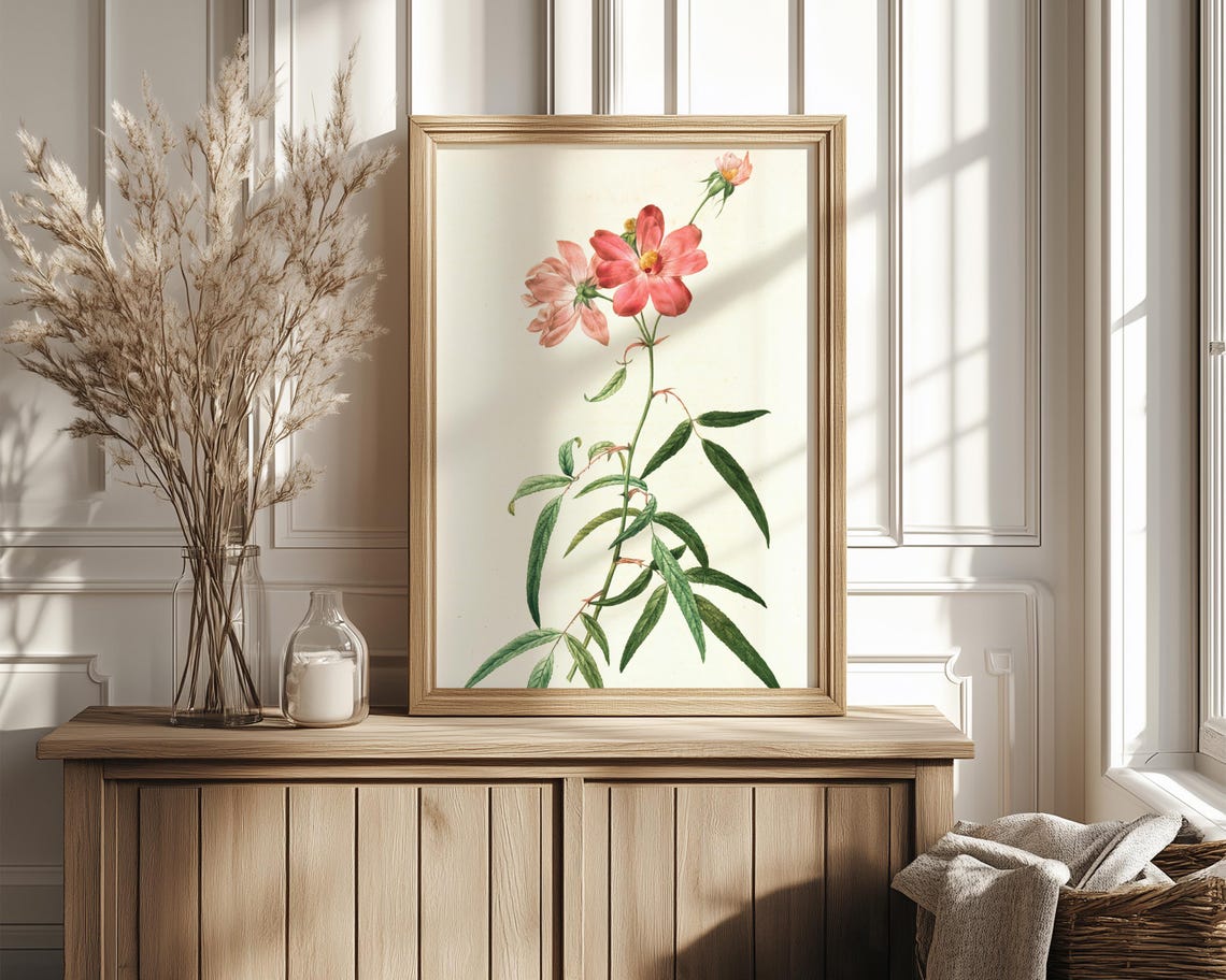 Pink Cosmos Flowers on Tall Stem Vintage Botanical Illustration Poster - Image 4
