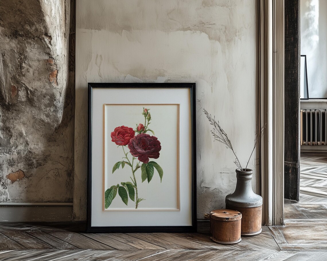 Deep Burgundy Garden Roses Classic Vintage Botanical Wall Print - Image 3