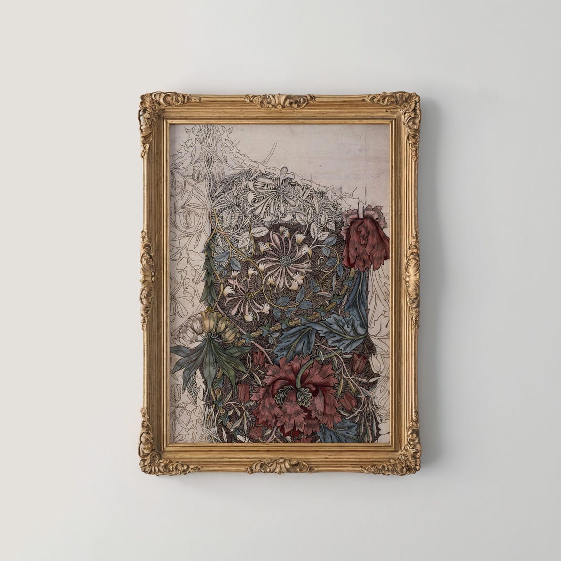 William Morris Style Poppy Honeysuckle Botanical Study Poster