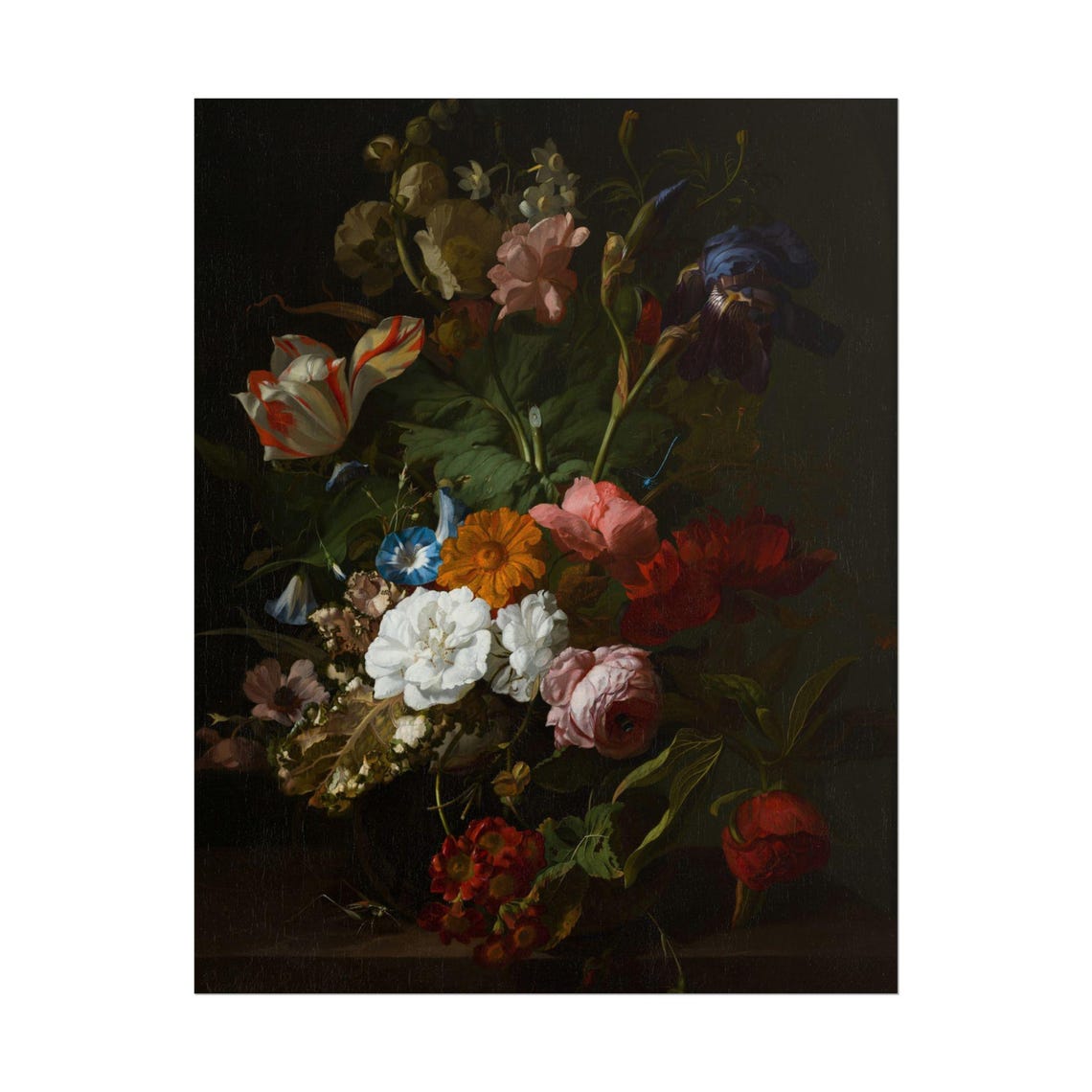 Dutch Style Dark Floral Bouquet White Peony and Tulip Poster - Image 4