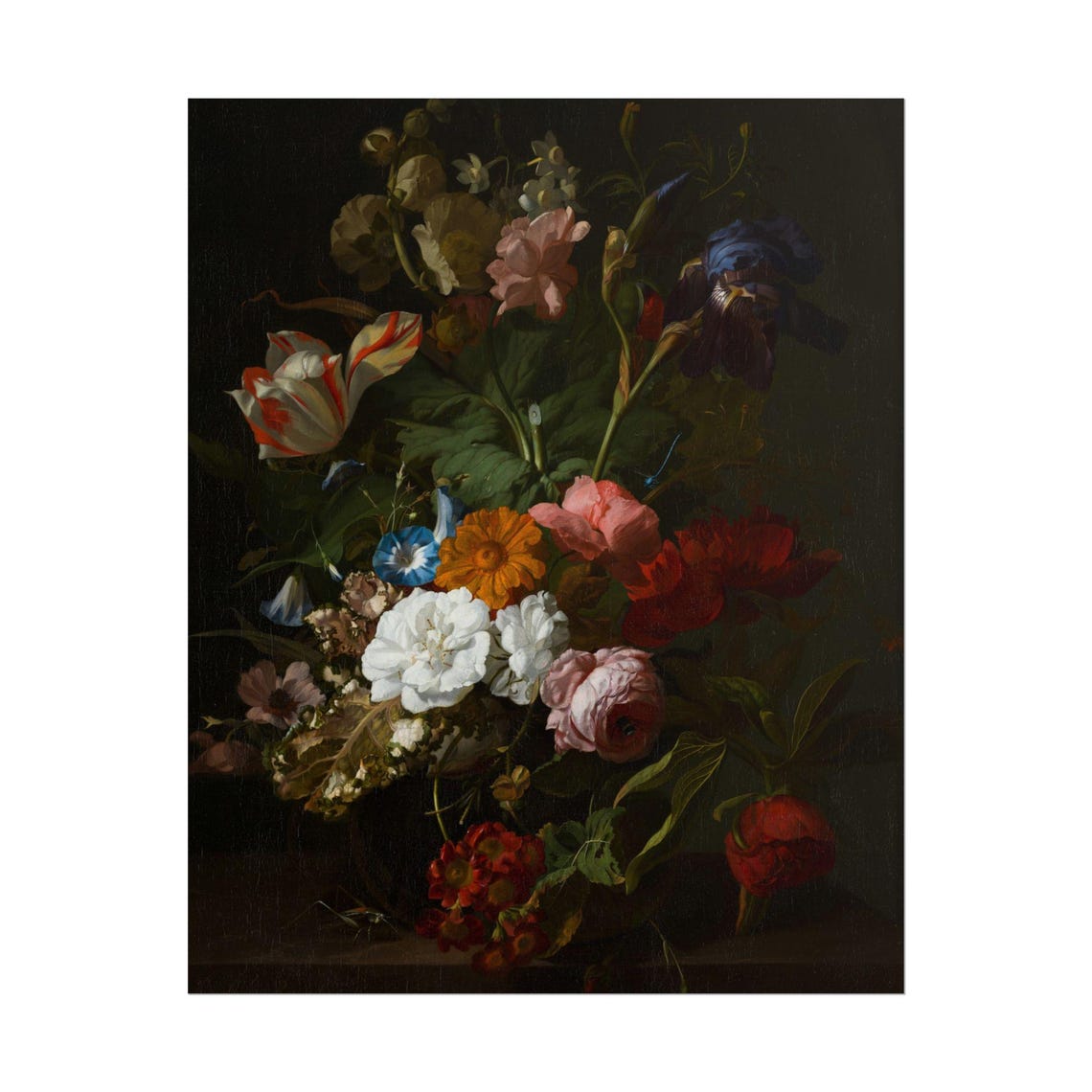 Dutch Style Dark Floral Bouquet White Peony and Tulip Poster - Image 6