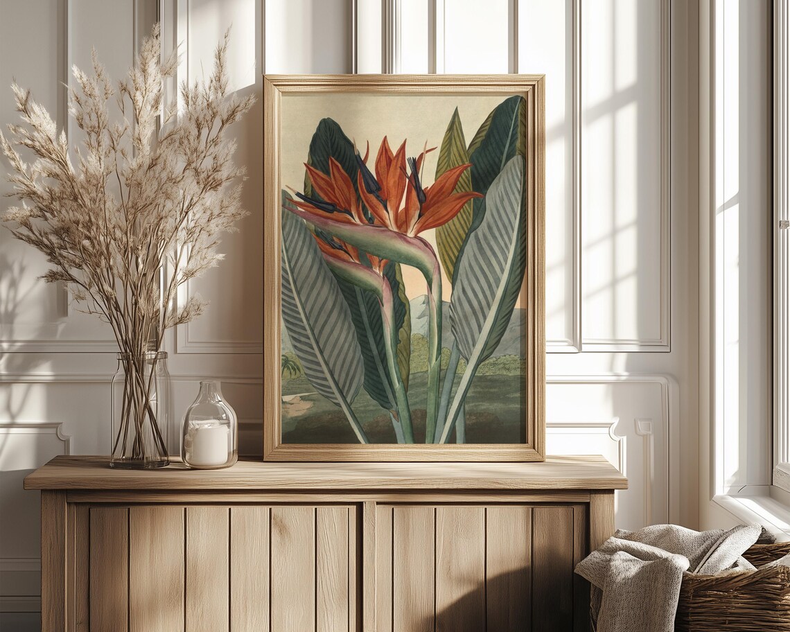 Bird of Paradise Tropical Flower Vintage Botanical Illustration Poster - Image 4