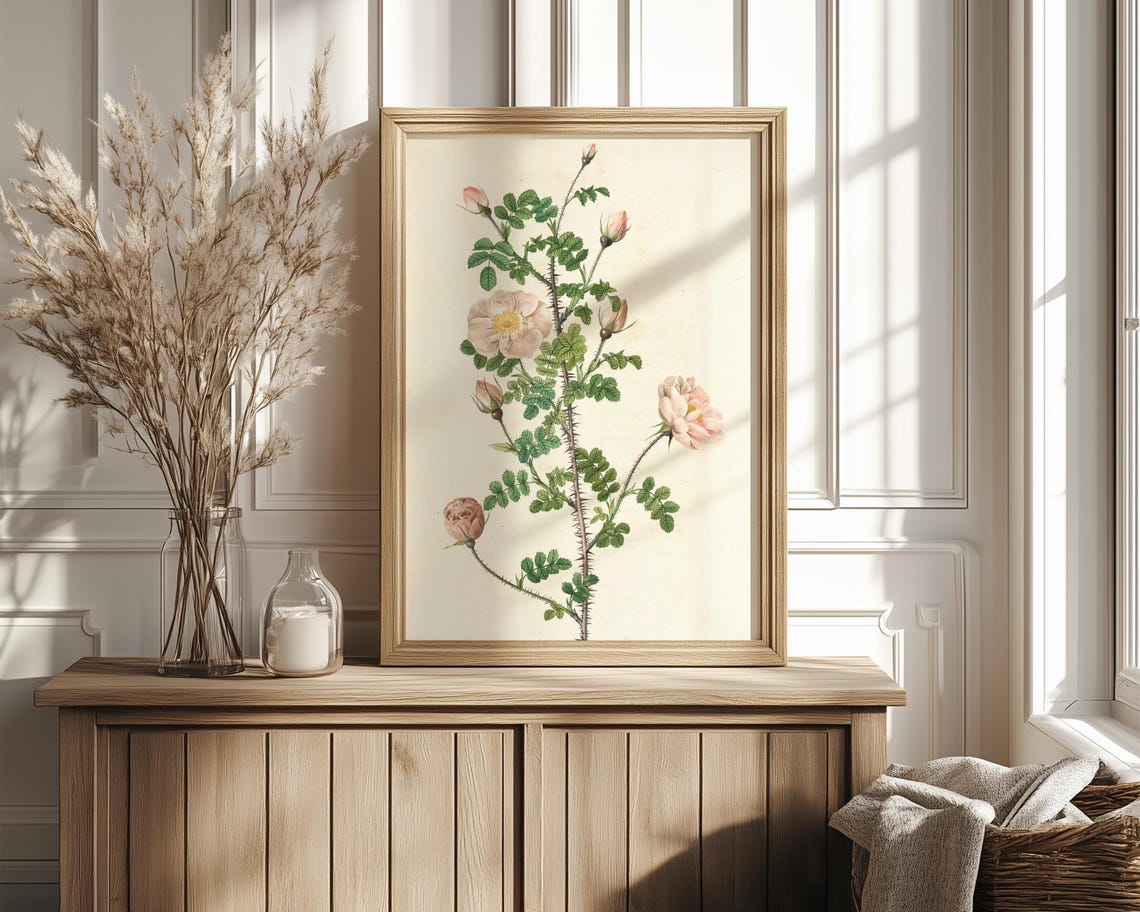 Thorny Briar Rose with Blush Blooms Vintage Botanical Poster - Image 4