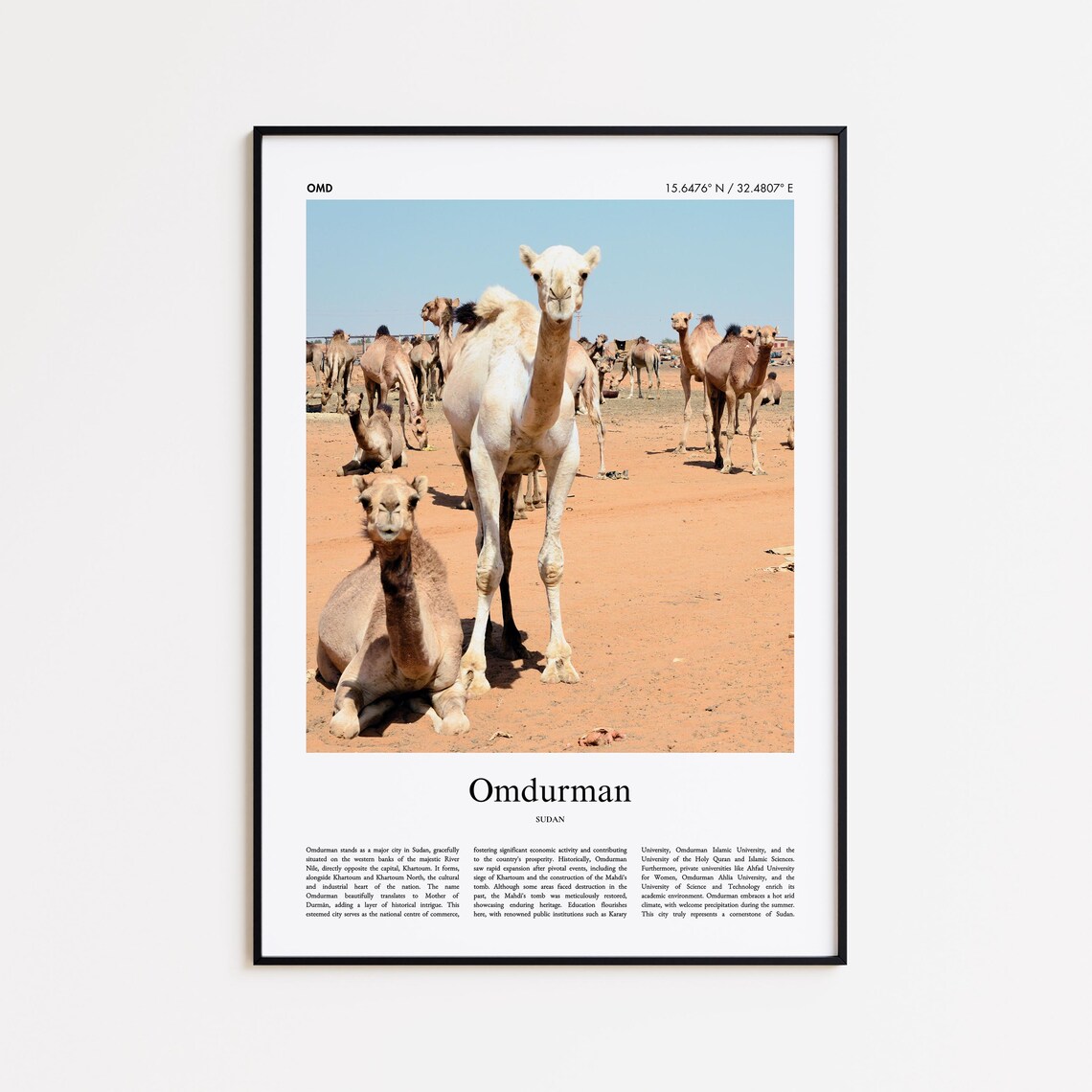 Omdurman Sudan Desert Camel Herd Photography Travel City Poster