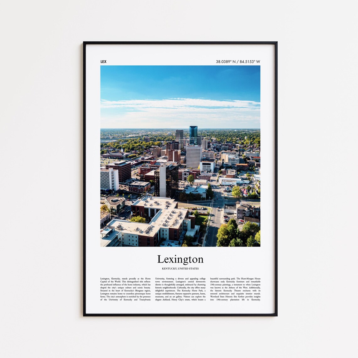 Lexington Kentucky Aerial Downtown Skyline Horse Capital Poster