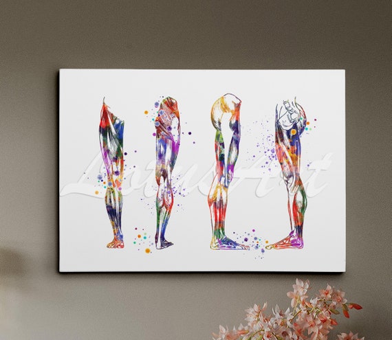 Leg Art Muscles Anatomy Watercolor Print Medical Clinic Wall Art Decor Personalised Gift