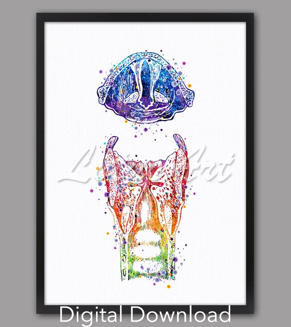 Larynx and Vocal Cords Watercolor Art Print