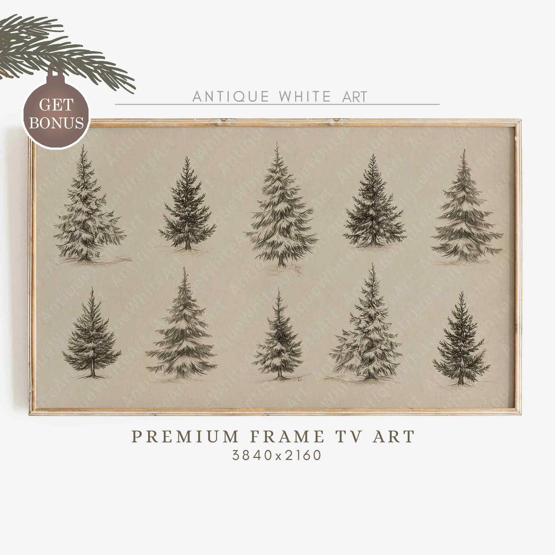 Ten Evergreen Trees Vintage Sketch Botanical Winter Wall Art