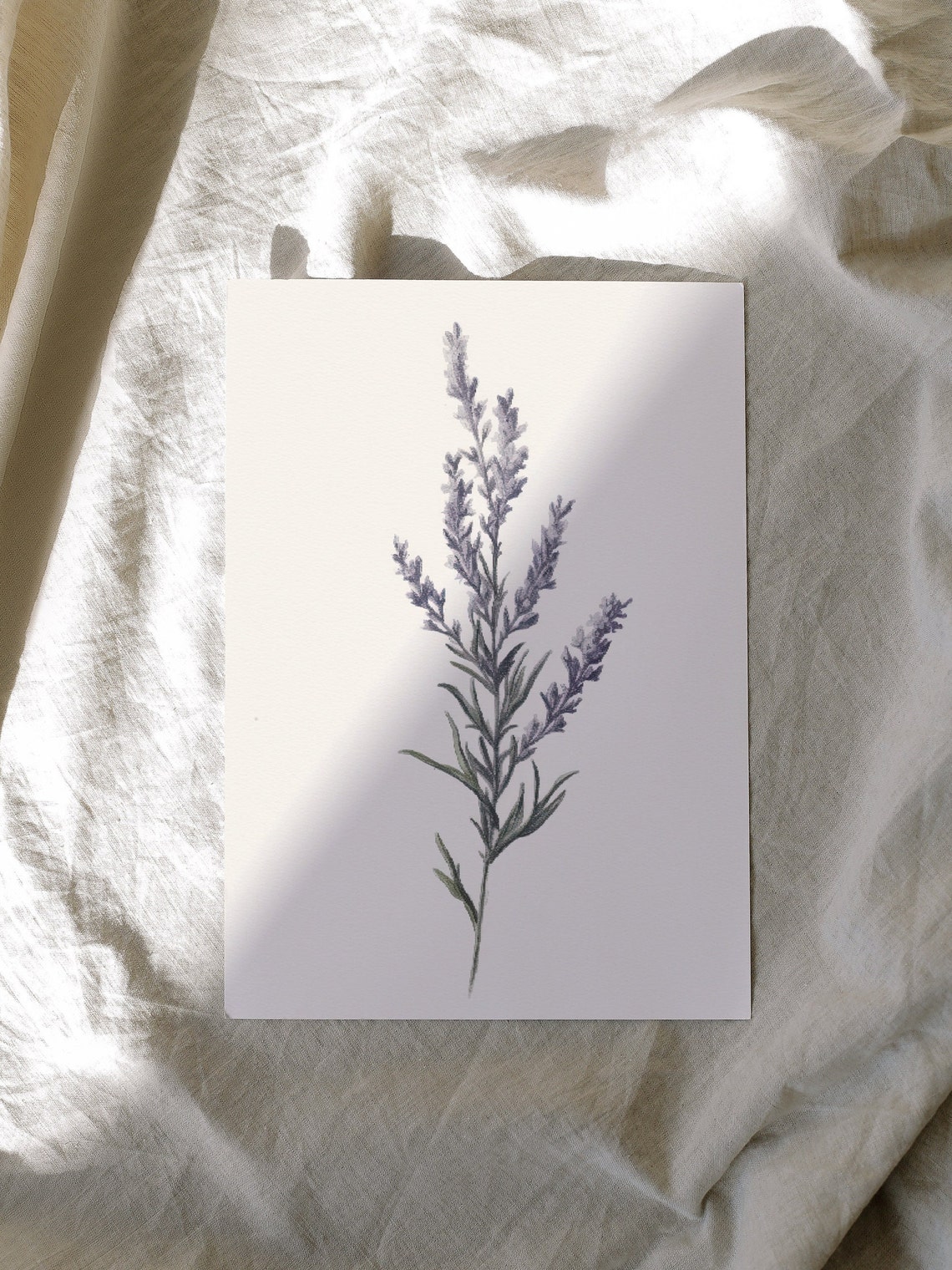 Minimal Lavender Botanical Sketch On Cream Paper Modern Floral Print - Image 3