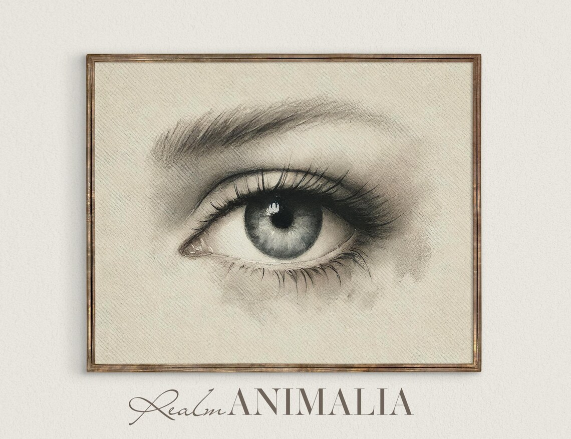Lovers Eye Pencil Sketch Blue Grey Human Eye Moody Anatomy Art Poster