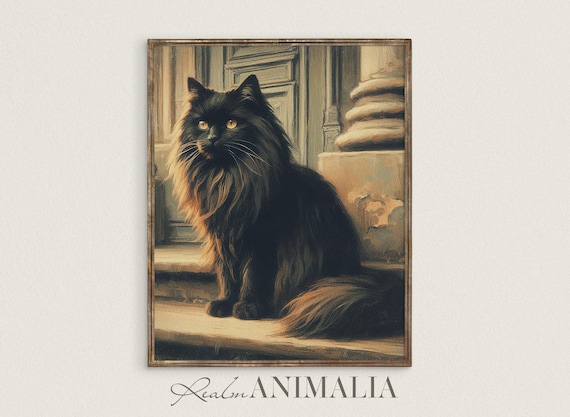 Long Haired Black Cat On Stone Steps Golden Eyes Portrait Art Print
