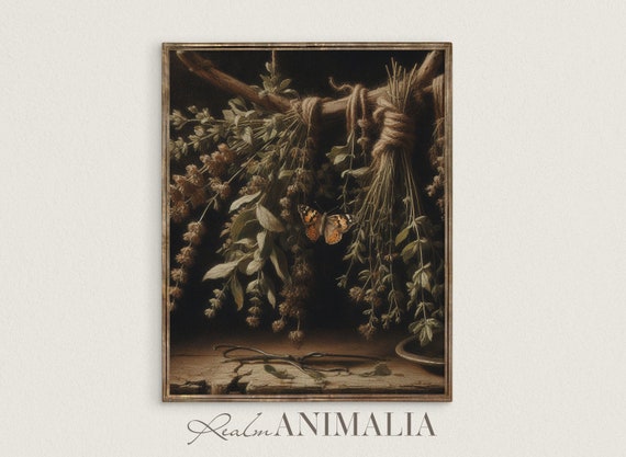 Hanging Herbs And Butterfly Art Print Moody Vintage Kitchen Dark Academia Wall Decor Cottagecore Art Hs001
