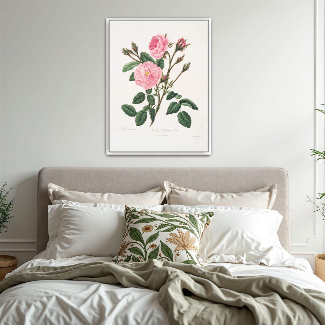 Pink Rose Stem With Buds Classic Botanical Illustration Art Poster - Image 3