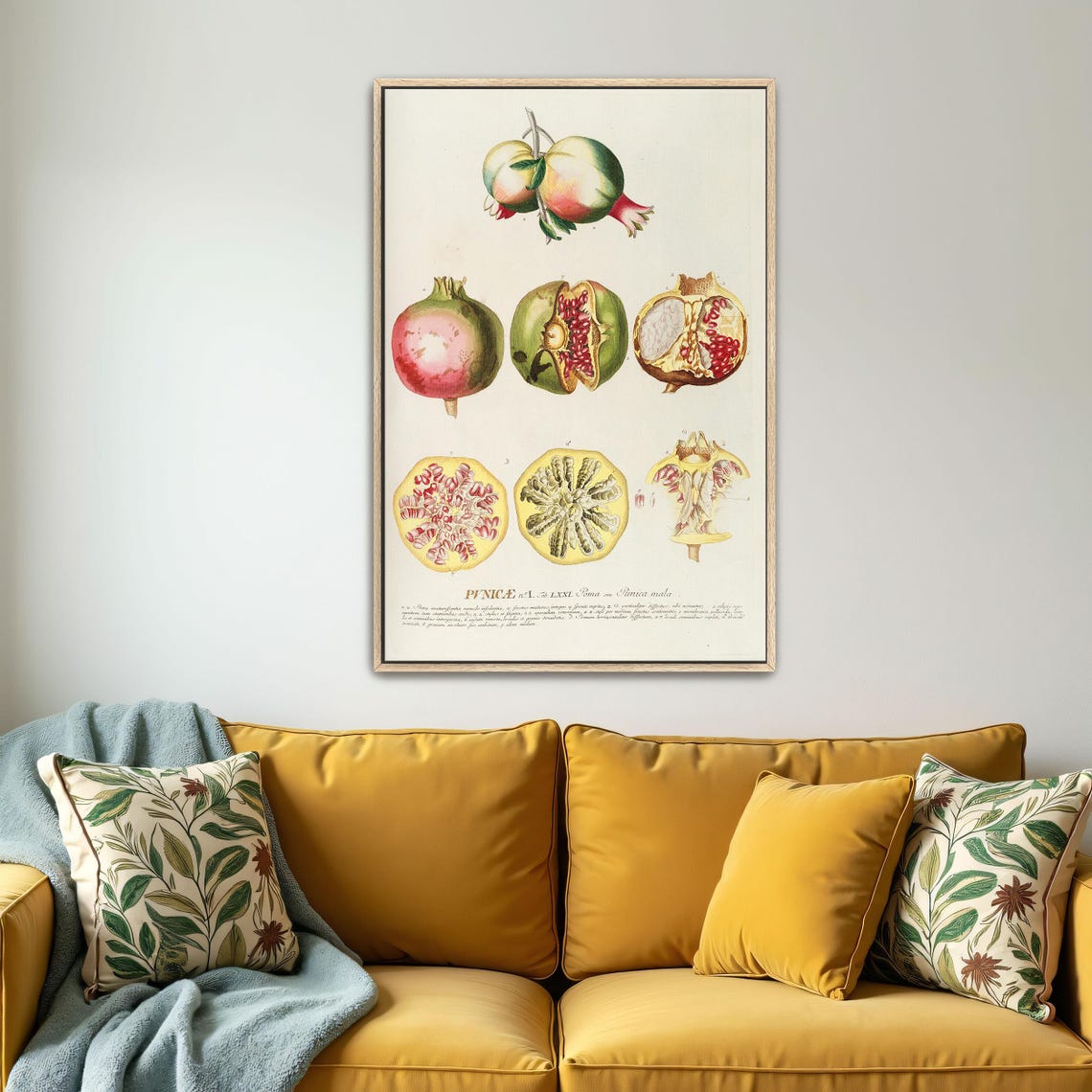 Pomegranate Punica Vintage Botanical Illustration Plate Poster - Image 4