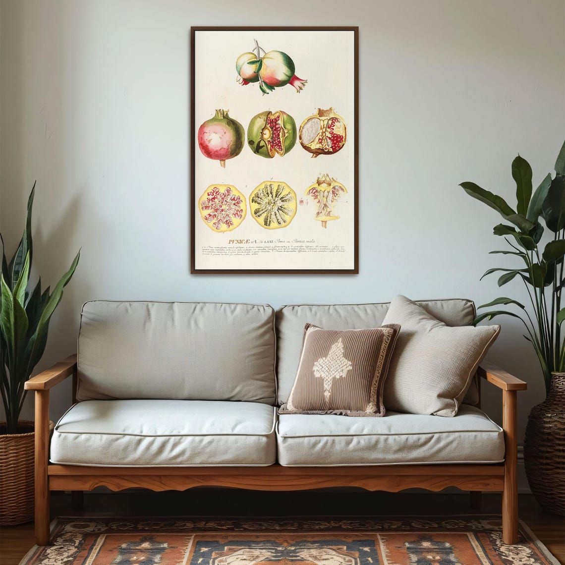 Pomegranate Punica Vintage Botanical Illustration Plate Poster - Image 5