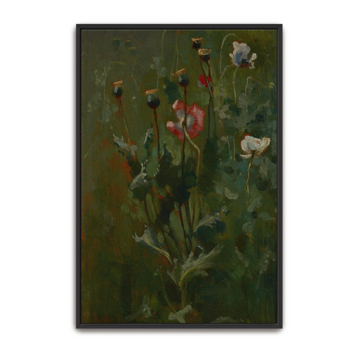 Wild Poppies in a Dark Green Field Vintage Botanical Floral Art Print