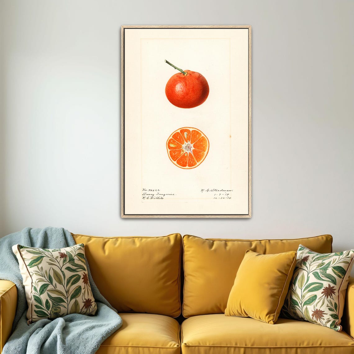 Dancy Tangerine Whole And Sliced Botanical Illustration Poster - Image 4