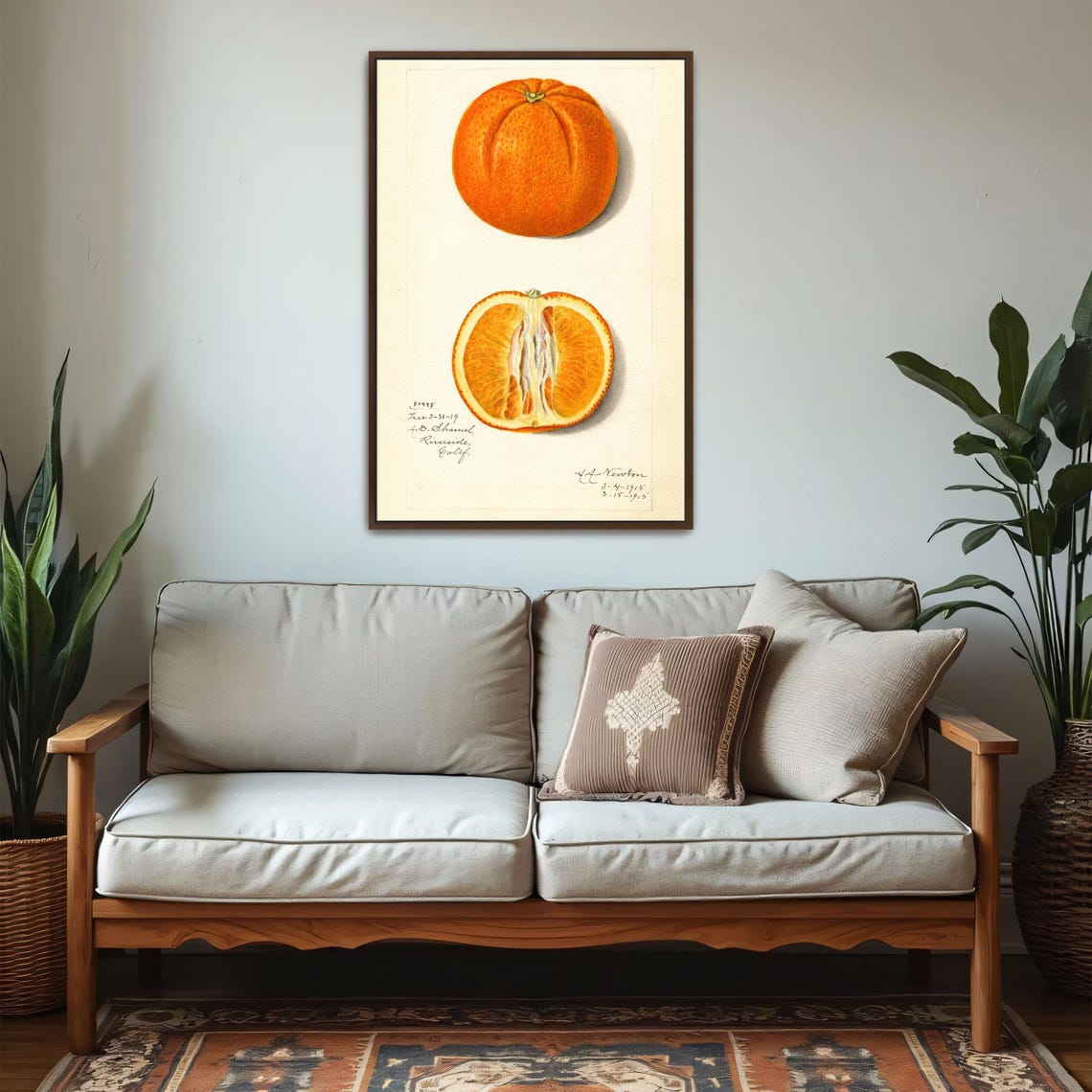 Vintage Orange Study Whole Fruit And Cut Half Botanical Art Poster - Image 5