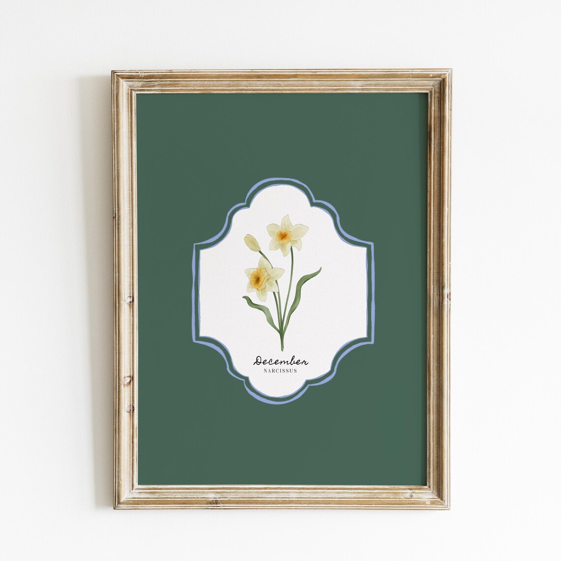 December Birth Flower Illustration, Vintage Botanical Art Print