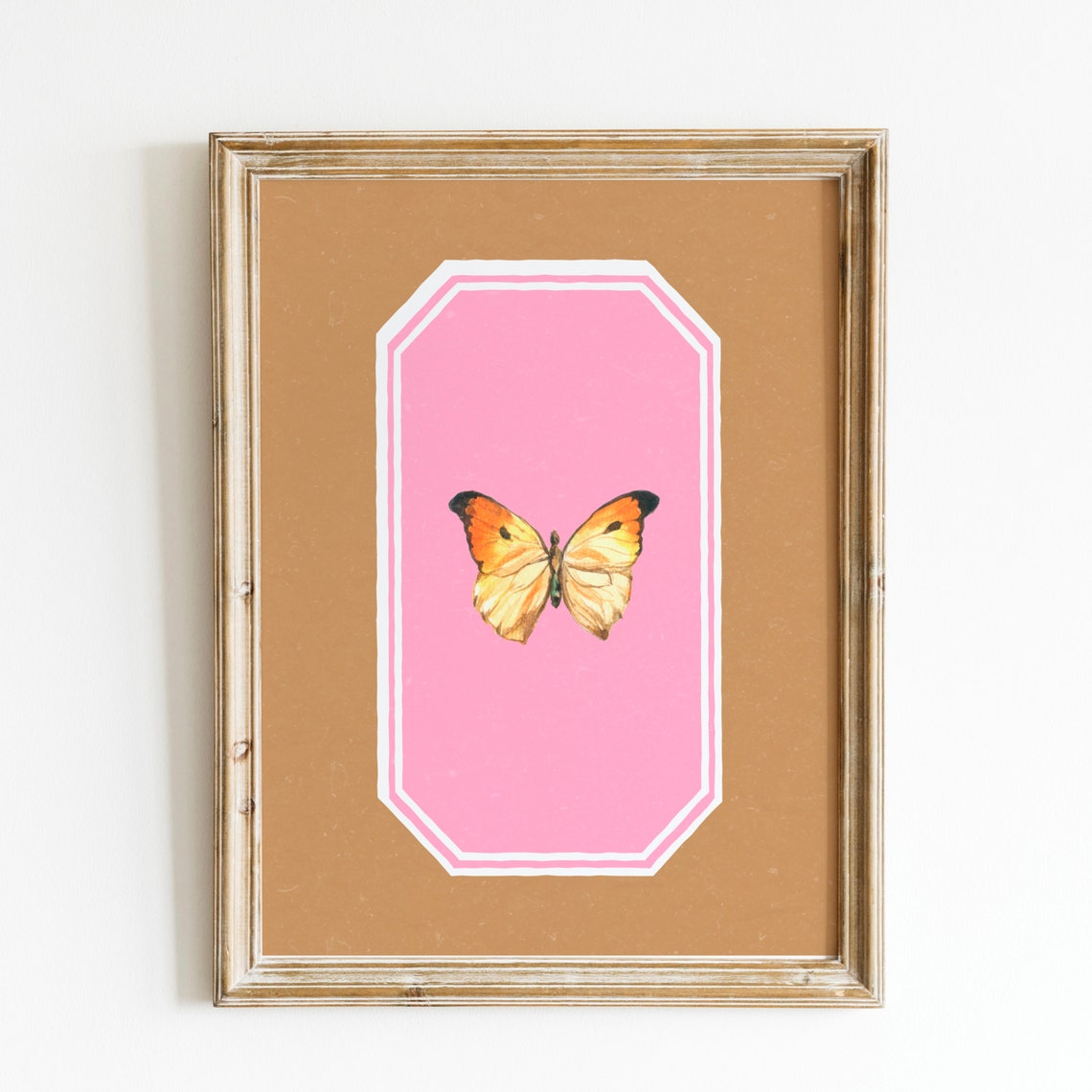 Pink Butterfly Octagon Poster with Orange Specimen on Tan Ground