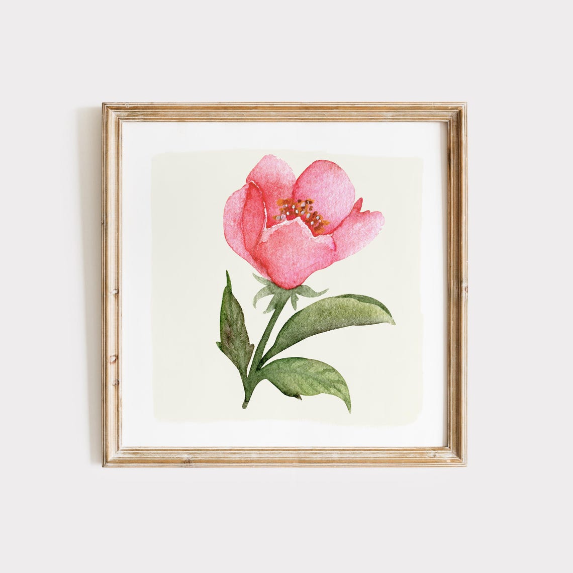 Single Pink Open Bloom Watercolor Botanical Wall Art Print Decor