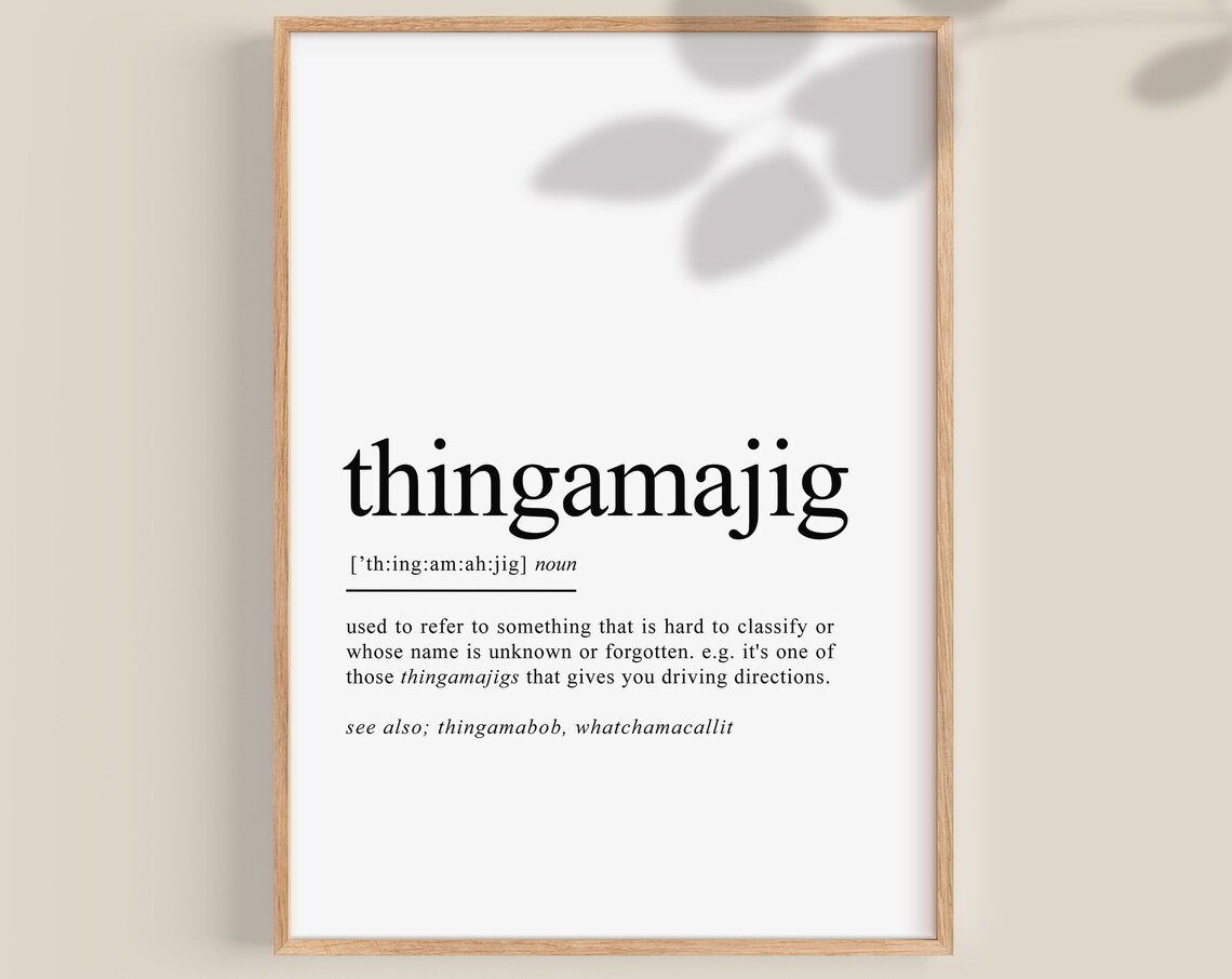 Thingamajig Dictionary Definition Funny Word Play Quote Wall Art