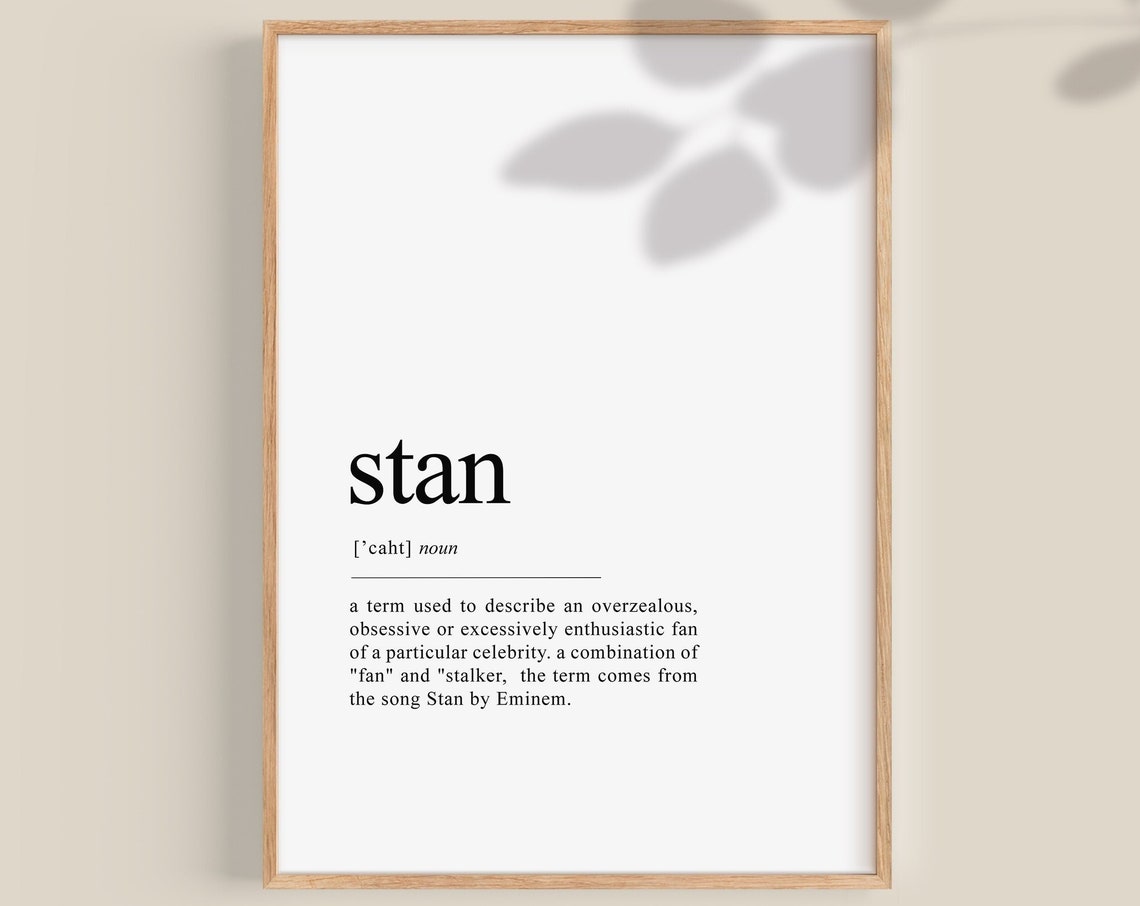 Stan Definition Print Funny Teen Poster Fan Shipping Teen Gifts Teen Girl Room Decor Best Friend Gift Wall Art