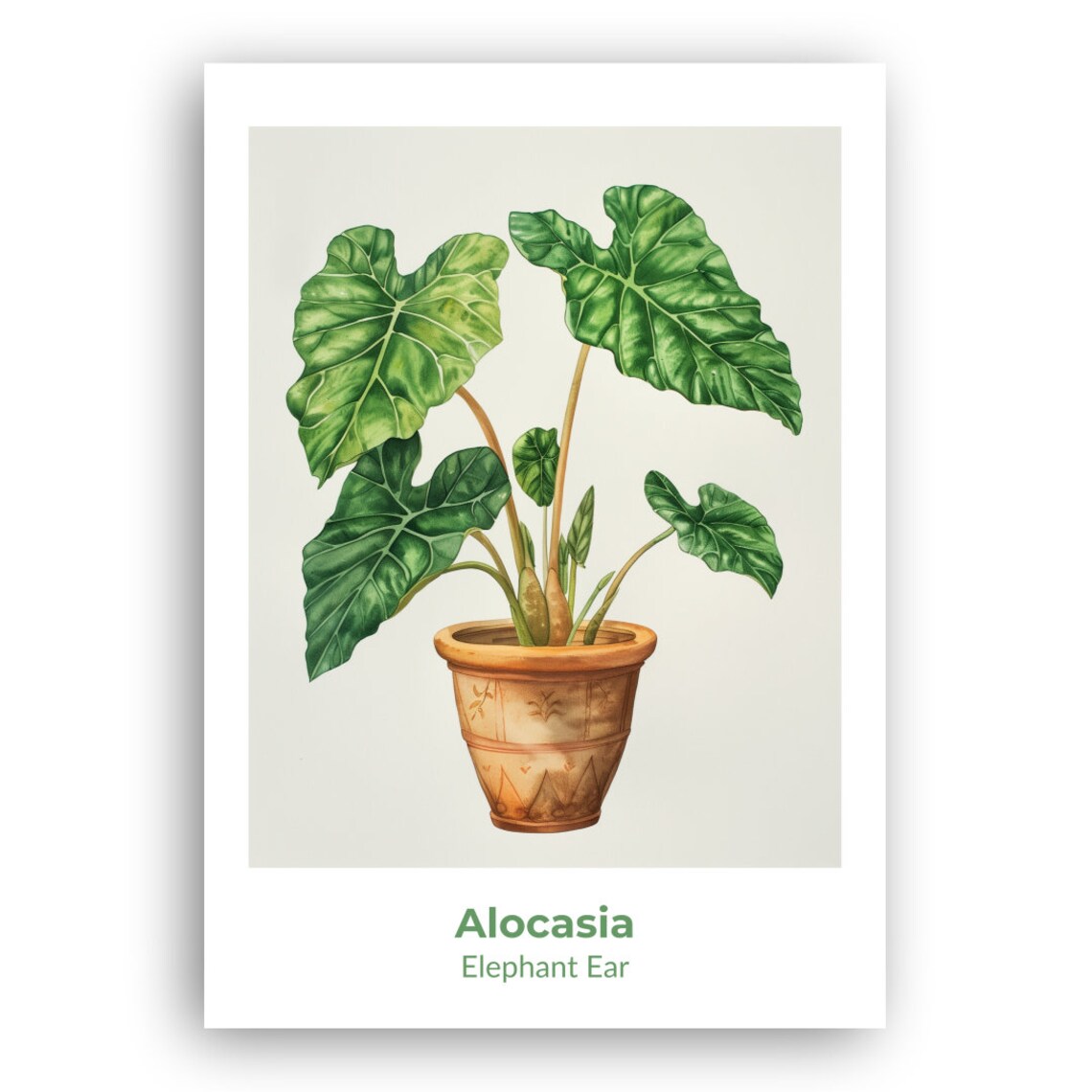 Alocasia Elephant Ear Potted Plant Watercolor Botanical Art Poster - Image 2