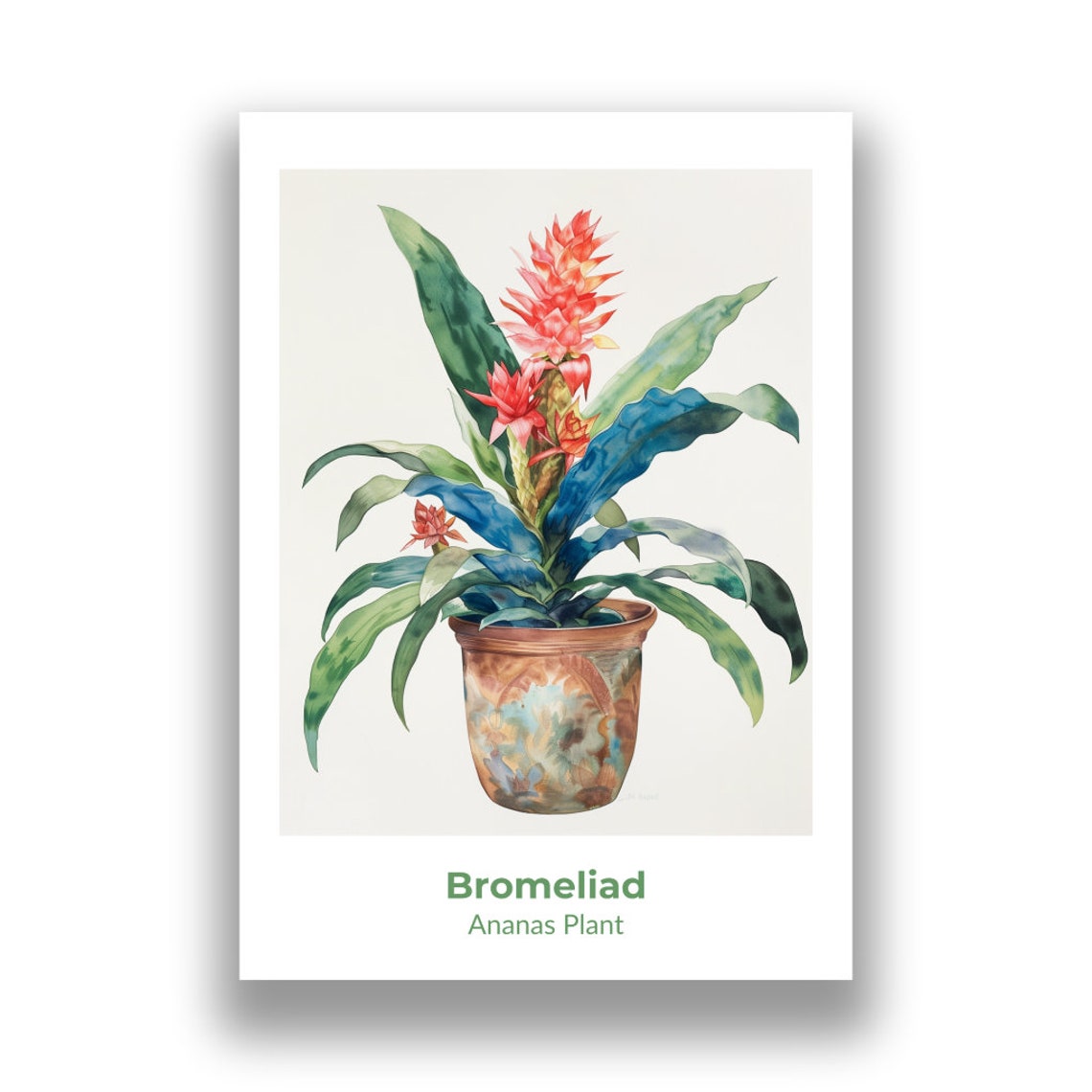 Red Bromeliad Bloom Ananas Plant Watercolor Botanical Art Poster - Image 2