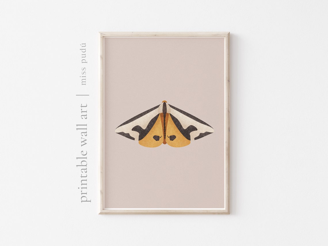 Vintage Moth Illustration Nocturnal Insect Poster Terracotta