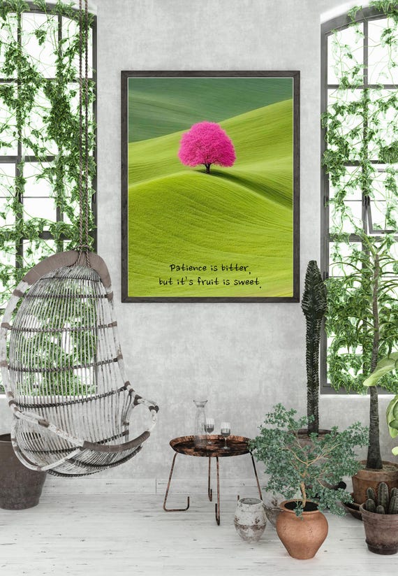 Patience Peaceful Mind Zen Wall Art Buddhist Quote Minimalist Home Or Office Decor Enlightenment Path