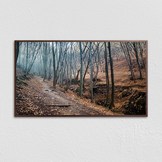 Bare Winter Forest Path Fallen Leaves Moody Woodland Photo Poster