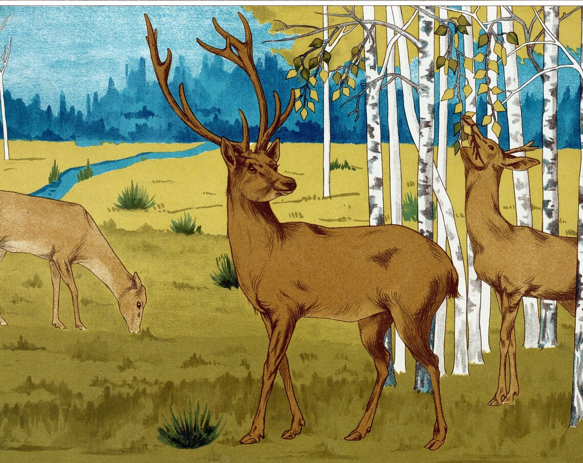 Maurice Verneuil Stag Among Birch Trees Golden Deer Art Nouveau Poster