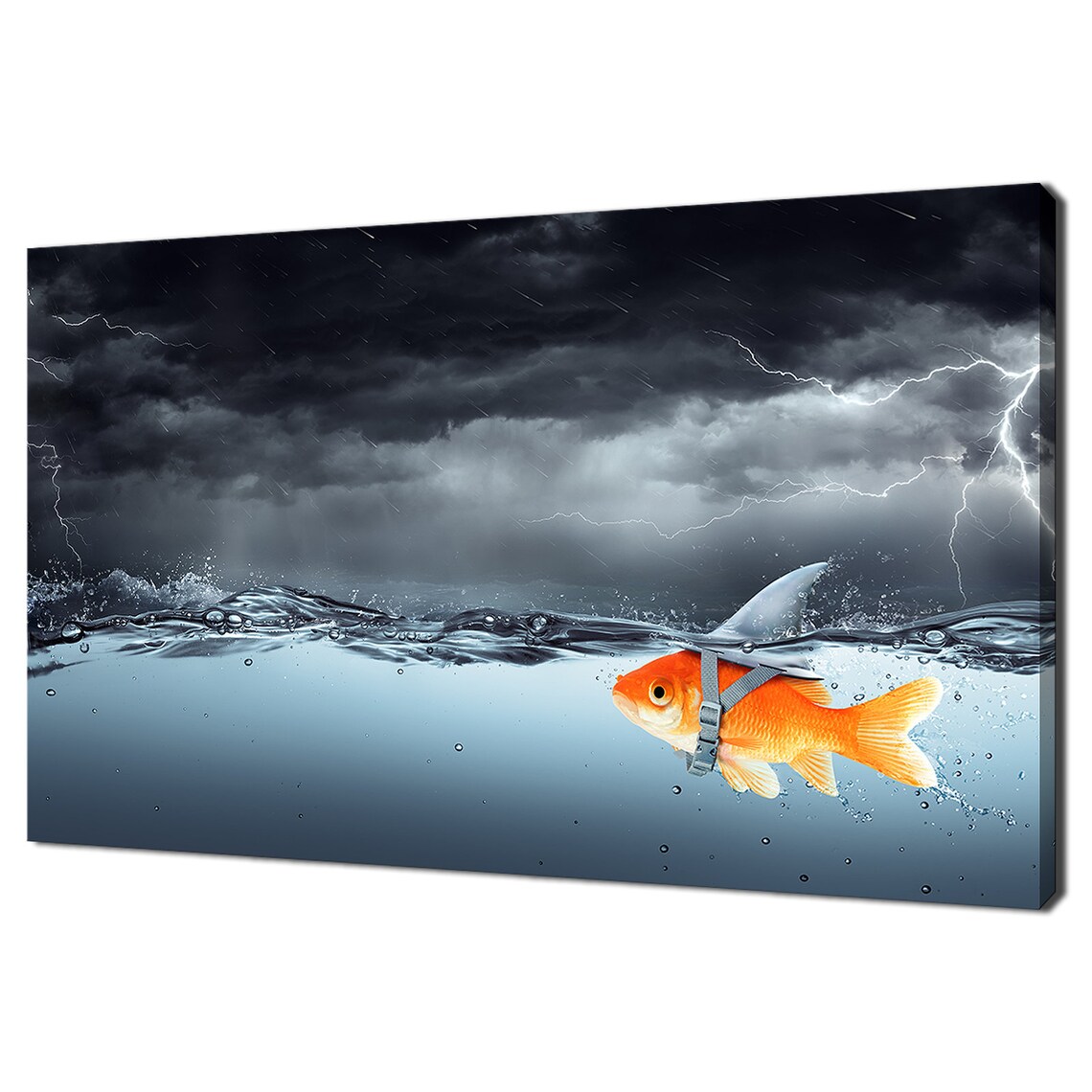Little Gold Fish With Shark Flip, Modern Art Print