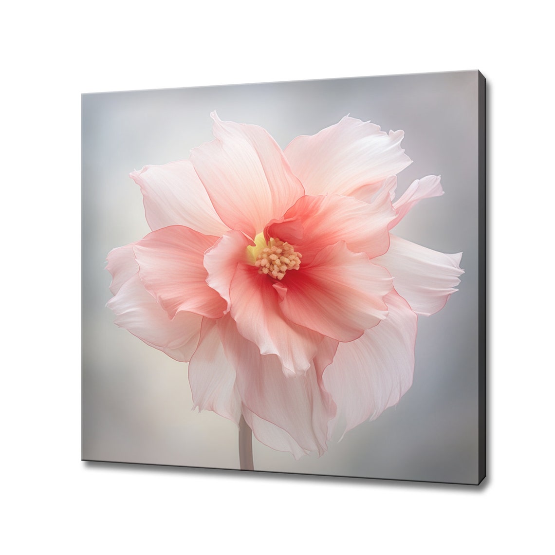 Pink Daffodil Blossom Soft Close Up Delicate Floral Wall Art Poster