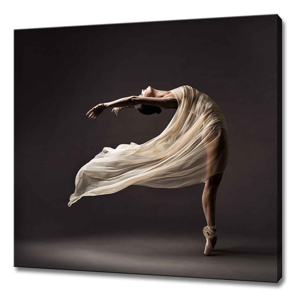 Ballerina Dancing in Silk Dress, Modern Art Print