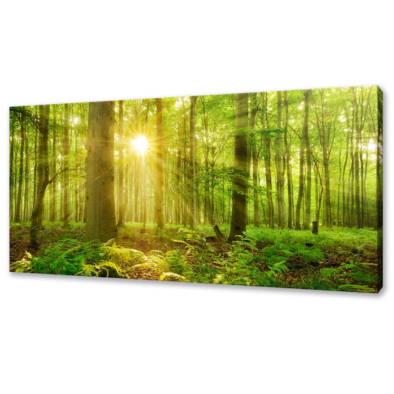 Sunrays Shining Through the Green Forest, Modern Design