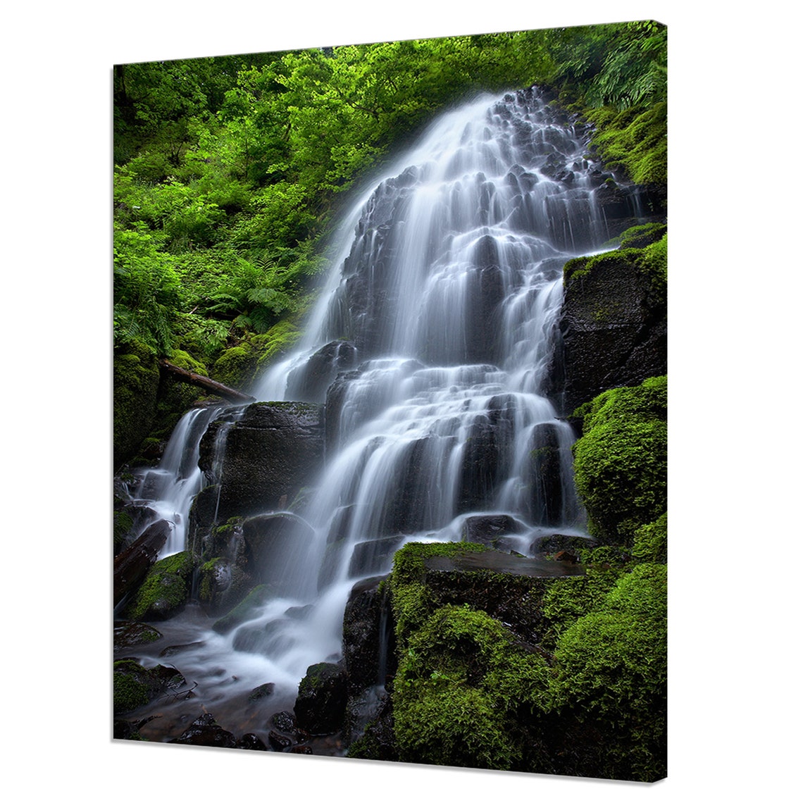 Fairy Falls Oregon Cascading Waterfall Forest Nature Travel Poster