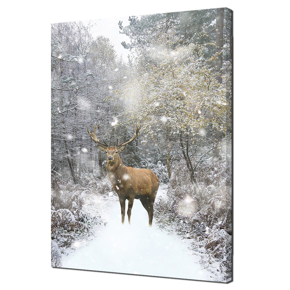 Red Deer Stag in the Snowy Winter Forest Art Print