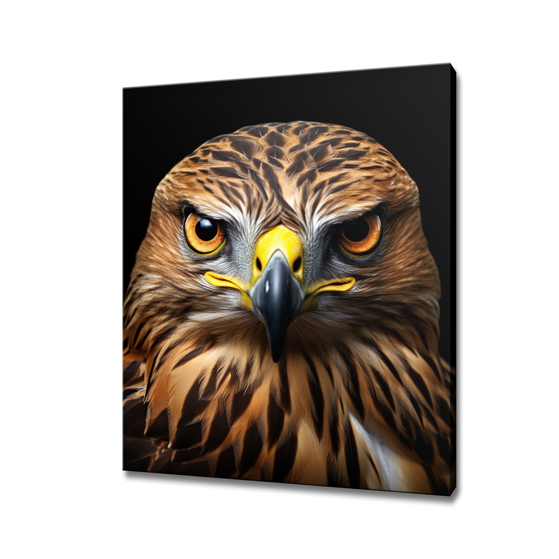 Hawk Face Portrait On Black Background Fierce Raptor Bird Wall Poster